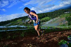 BIB: 
                            <button type="button" onclick="openModal(13381732)" class="btn btn-primary btn-sm float-right btn-popup" data-toggle="modal" data-target=".modal-high-quality">
                        <i class="fas fa-shopping-cart"></i> Add to Cart
                    </button>
                                            <button type="button" onclick="isThisMe(13381732, true)" class="btn btn-success btn-sm float-right btn-popup btn-isme hidden" data-toggle="tooltip" data-placement="bottom" title="นี่คือรูปของคุณใช่ไหม คลิกที่นี่เพื่อเอาเข้าอัลบั้ม">
                        <i class="fas fa-plus"></i> Add to album
                    </button>
                    <button type="button" onclick="isThisMe(13381732, false)" class="btn btn-warning btn-sm float-right btn-popup btn-isnotme hidden">
                        <i class="fas fa-ban"></i> Remove from album
                    </button>